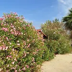 Villa Dany
