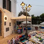 A-Typical Mini House
