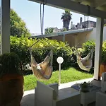 Il Matino