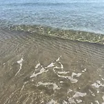 Dove Inizia L'Avventura Nel Salento