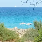 Mirtomore-Polpo