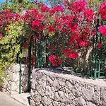 Angela Holiday Home