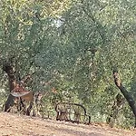 Agricampeggio Wishne