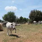 Agriturismo Il Vignaletto