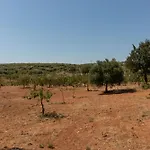 Terre Di Caanthea