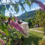 B&B Stella Alpina