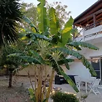 La Casa Del Noce