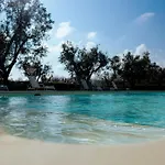 Masseria Monache