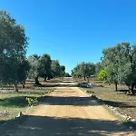 Ristrutturato 2024 - Trullo Falghero Con Piscina Privata