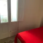 Domus Mea