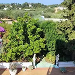 Appartamento Tra Gli Ulivi