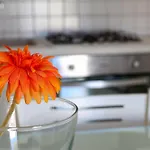 Gli Alfieri A Posto Vecchio