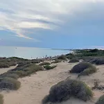 Gemma Mediterranea