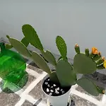 Aremu
