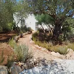 Le Lamie Degli Ulivi