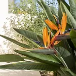 Casa Eleonora