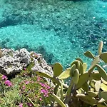 Alchimia Di Mare