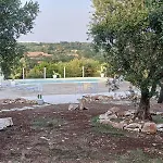 Natura E Relax La Campagna Di Nonno Pino