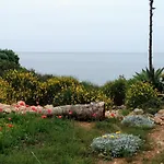 Trullammare