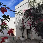 Casa Mirabilis 44