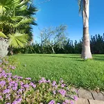 Malia Holiday Villa