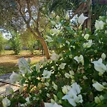Casa Frisa-Carovigno