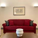 Corte D'Oro Nel Centro Storico - Wi-Fi & Netflix