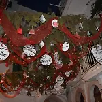 Rosalilli