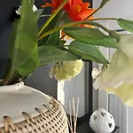 B&B Crisalide