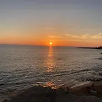 Le Rondini Di Mare