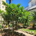 Soavis Garden In Downtown