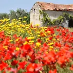 Bianco Pugliese B&B