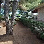 Paradiso House