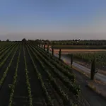 Qui Mediterraneo