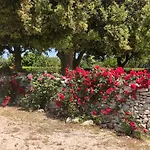 Ai Pilieri Di Bagnoli