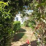 Li Curti B&B
