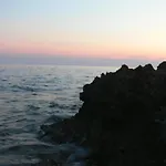 Tamarix