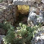Nonna Maria 37