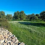 Che Vista!! Ostuni ,Sulle Bianche Mura Con Vista Mozzafiato