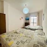 Seagull House