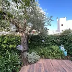Trulli Madia Luxury Alberobello