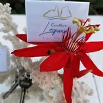 Casamare Leopardi