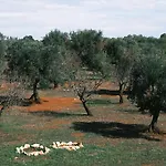 Le Lamie Di Ostuni -Typical Countryhouse In Puglia