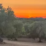 Trullo In Fabula Ad Alberobello