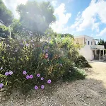 Casa Vacanza Lu Mare Puglia On Line