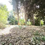 Casa Vacanza Lu Ientu Puglia On Line