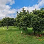 Ruralholidays