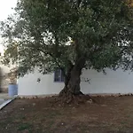 Picturesque Trulli In Itria Valley