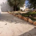 Villa With Trullo And Pool, Alberobello