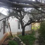 Appartamento Di Nuova Costruzione Fra Alberi E Antichi Trulli